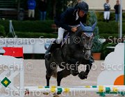 Fenili Deja Vu GioCav2013 S5 0986 : Campionati Italiani Giovani Cavalli, Cattolica, Deja Vu, Fenili Davide, ph Stefano Secchi ©